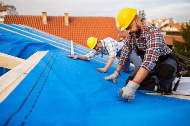 Roof Gutter Cleaning in Pinebluff, NC